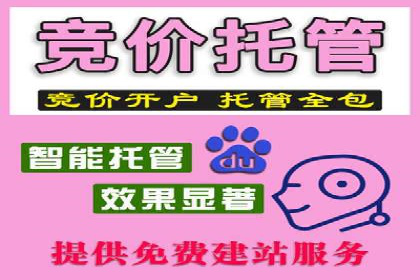 竞价推广代运营成功案例分析